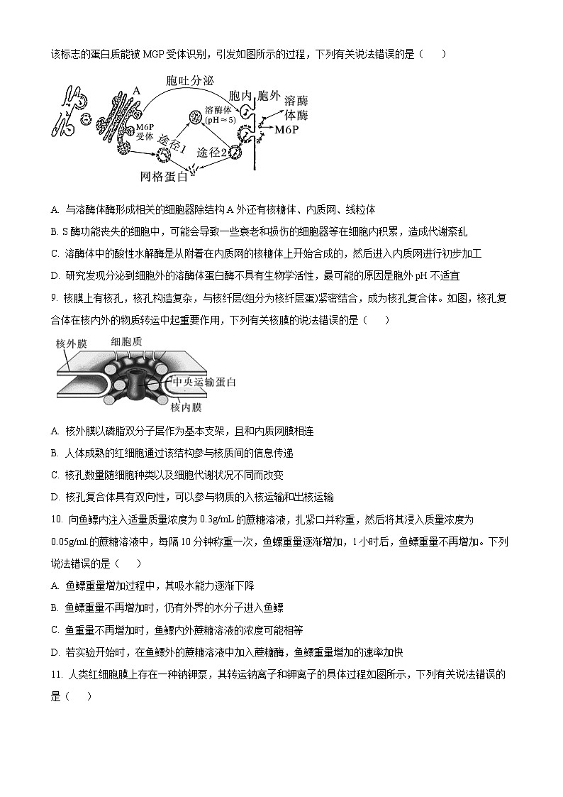 2023安徽省十校联考高一下学期开学摸底联考试题生物含答案03