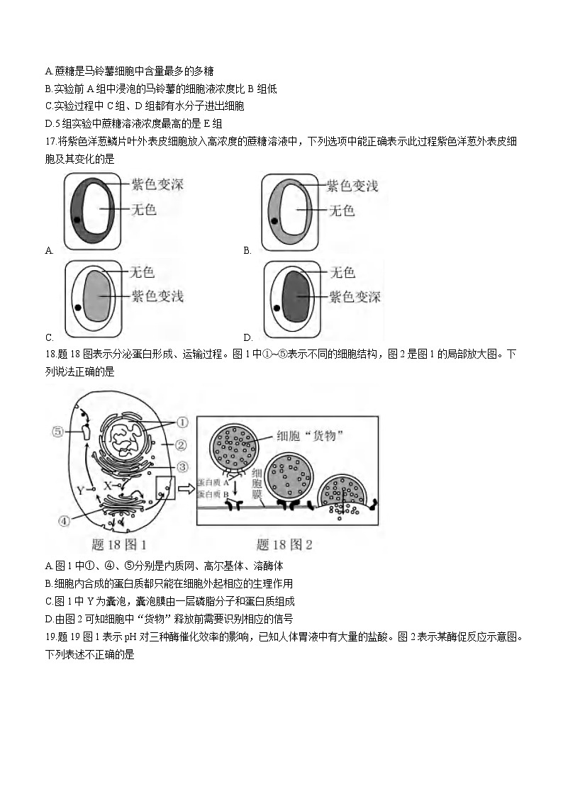2023重庆市高一上学期期末联合检测生物试题含答案第3页