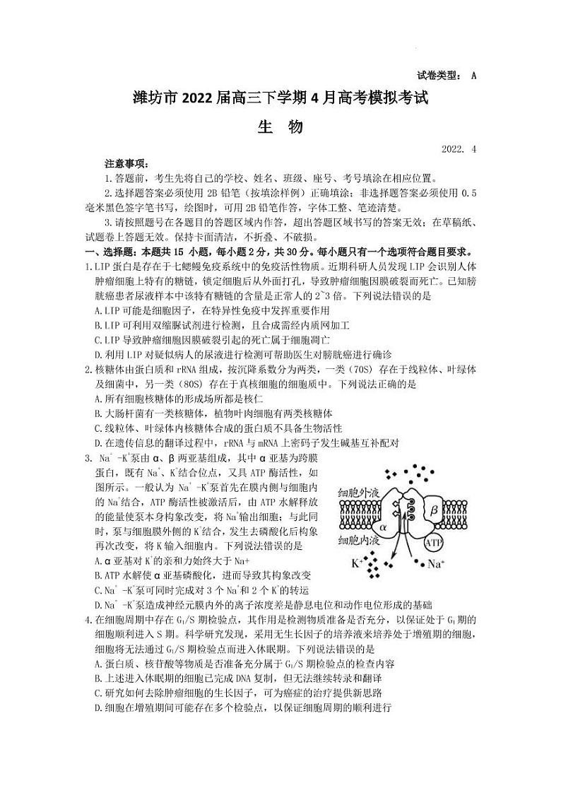 2022届山东省潍坊市高三下学期4月高考模拟考试(二模)生物学试题(PDF版含答案)01