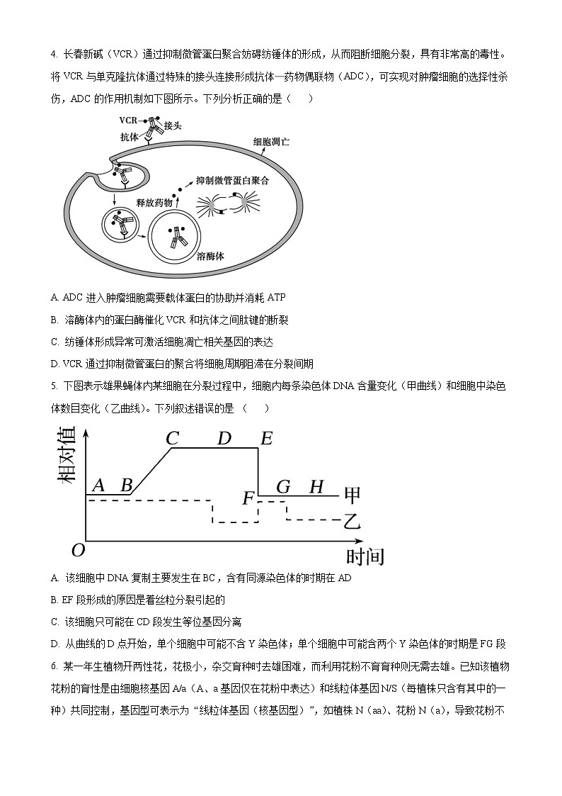 湖南省长沙市湖南师大附中2022-2023学年高二上学期期末生物试题无答案第2页