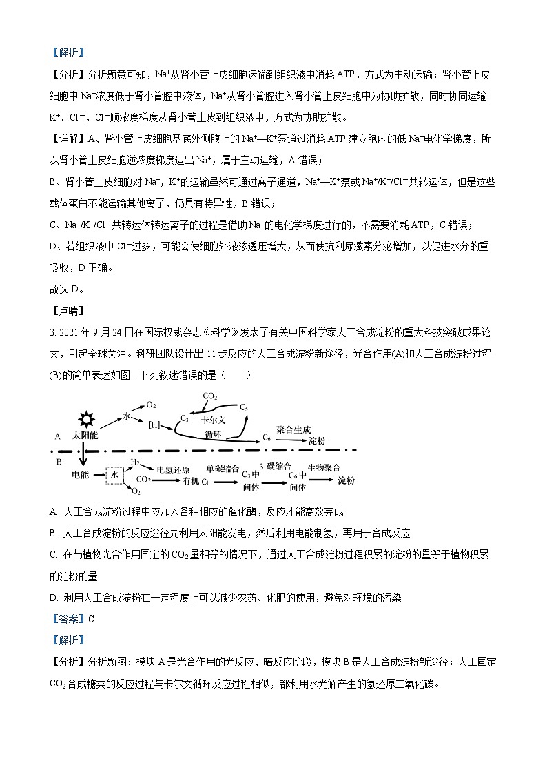 湖南省长沙市湖南师大附中2022-2023学年高二上学期期末生物试题含解析第2页