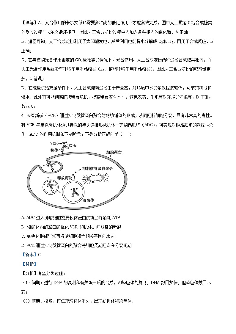 湖南省长沙市湖南师大附中2022-2023学年高二上学期期末生物试题含解析第3页
