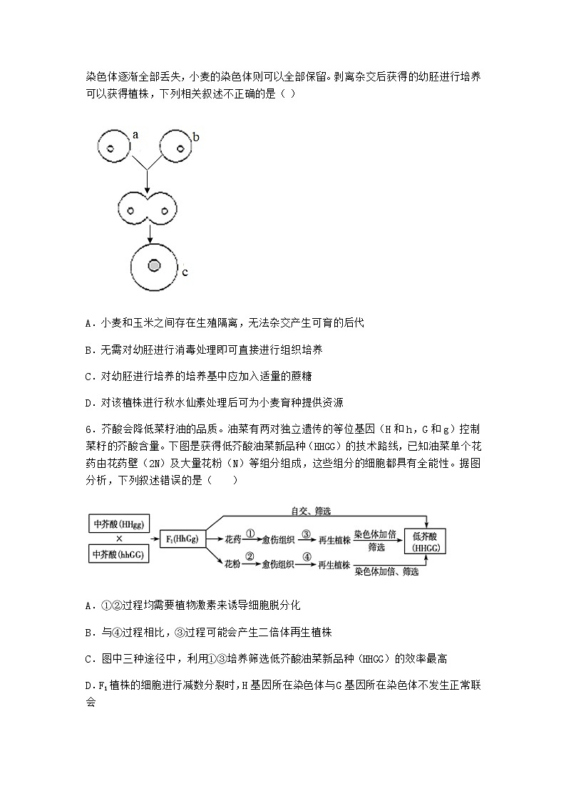 北师大版高中生物选择性必修3第一节植物细胞工程课堂作业含答案1第2页