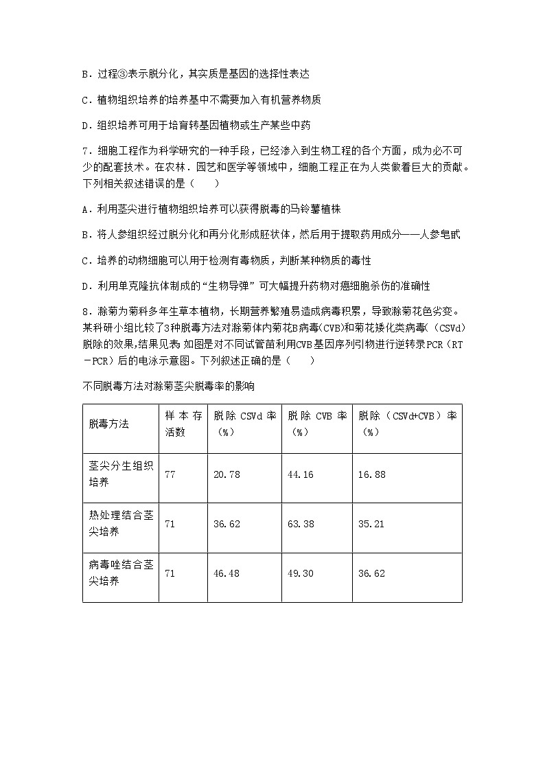 北师大版高中生物选择性必修3第一节植物细胞工程课堂作业含答案303