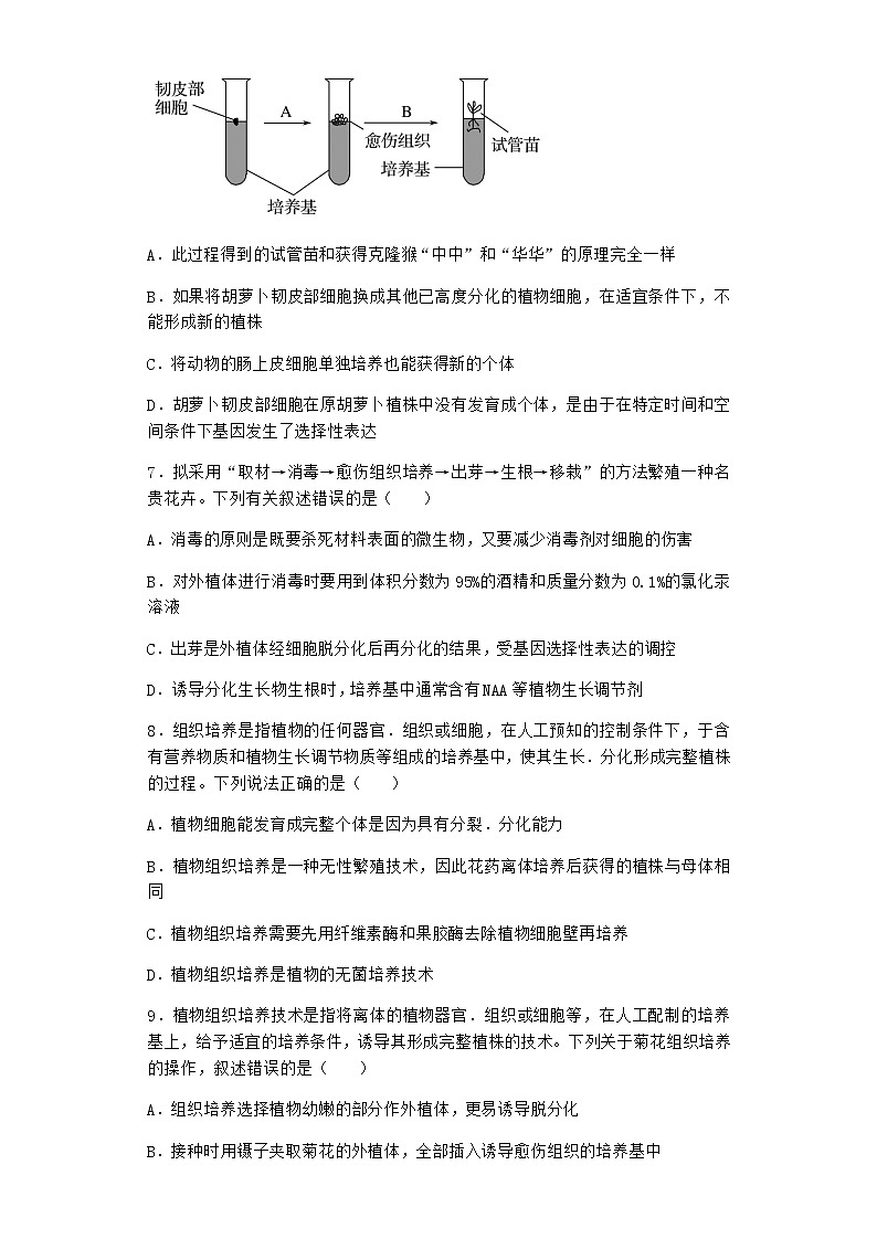 北师大版高中生物选择性必修3第一节植物细胞工程课堂作业含答案4第3页
