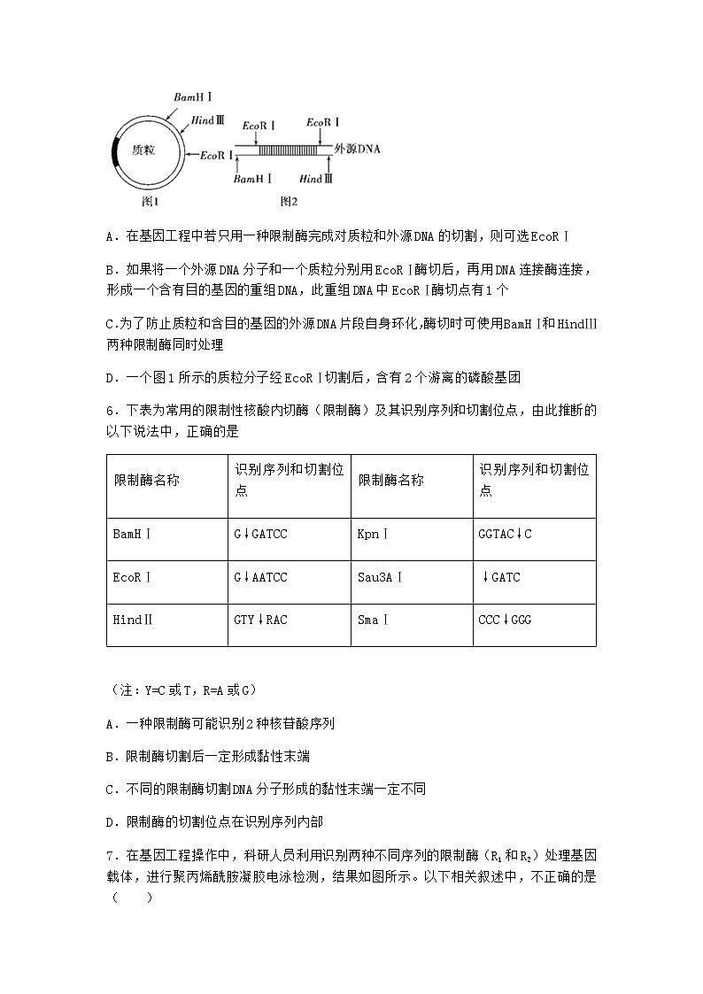 北师大版高中生物选择性必修3第一节基因工程的原理课堂作业含答案3第2页