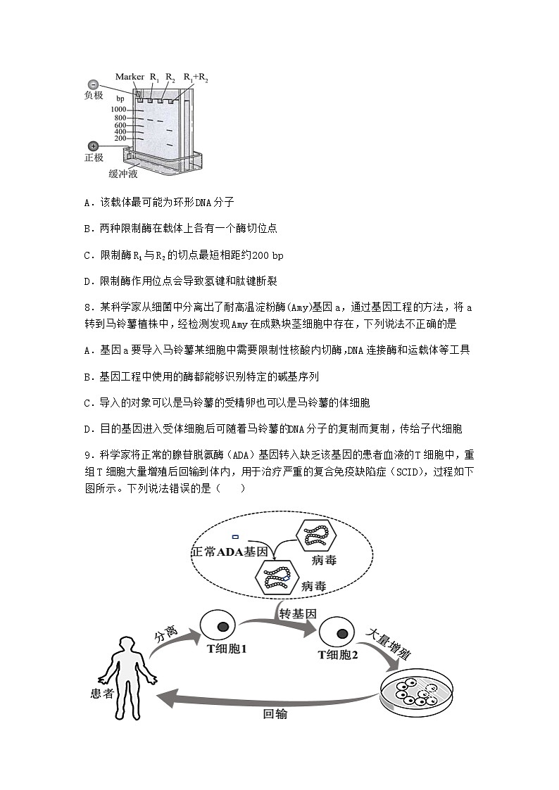 北师大版高中生物选择性必修3第一节基因工程的原理课堂作业含答案3第3页