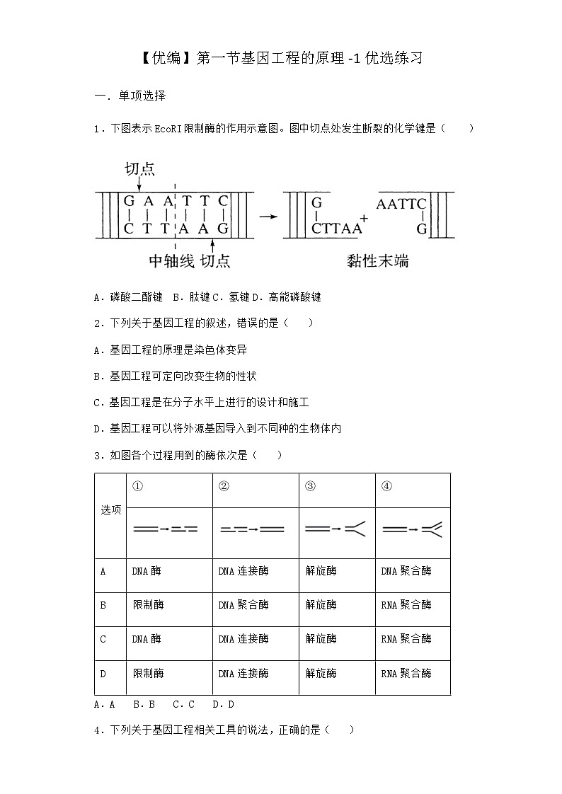 北师大版高中生物选择性必修3第一节基因工程的原理优选作业含答案1第1页