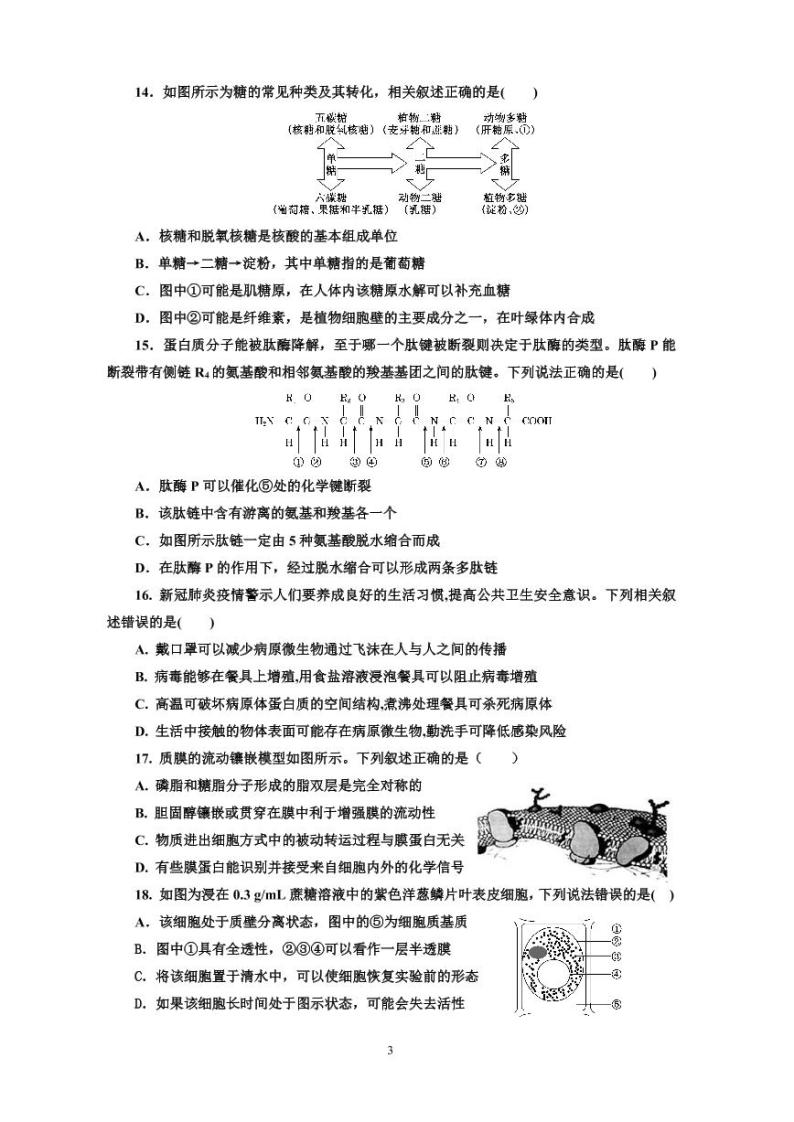 福建省福州第一中学2022-2023学年高一上学期期末生物试卷03