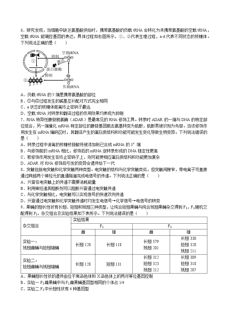 山东省威海市2022-2023学年高三上学期期末考试生物试题及答案02