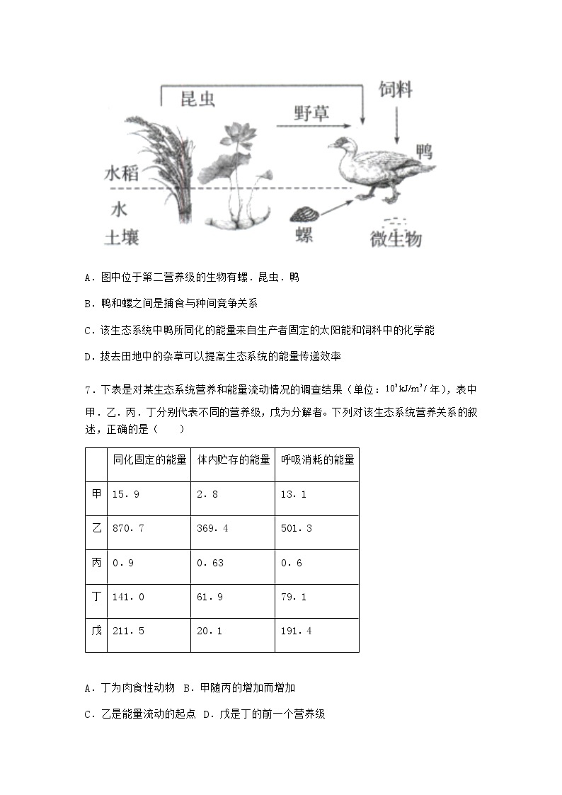 北师大版高中生物选择性必修2第二节生态系统的能量流动随堂作业含答案103