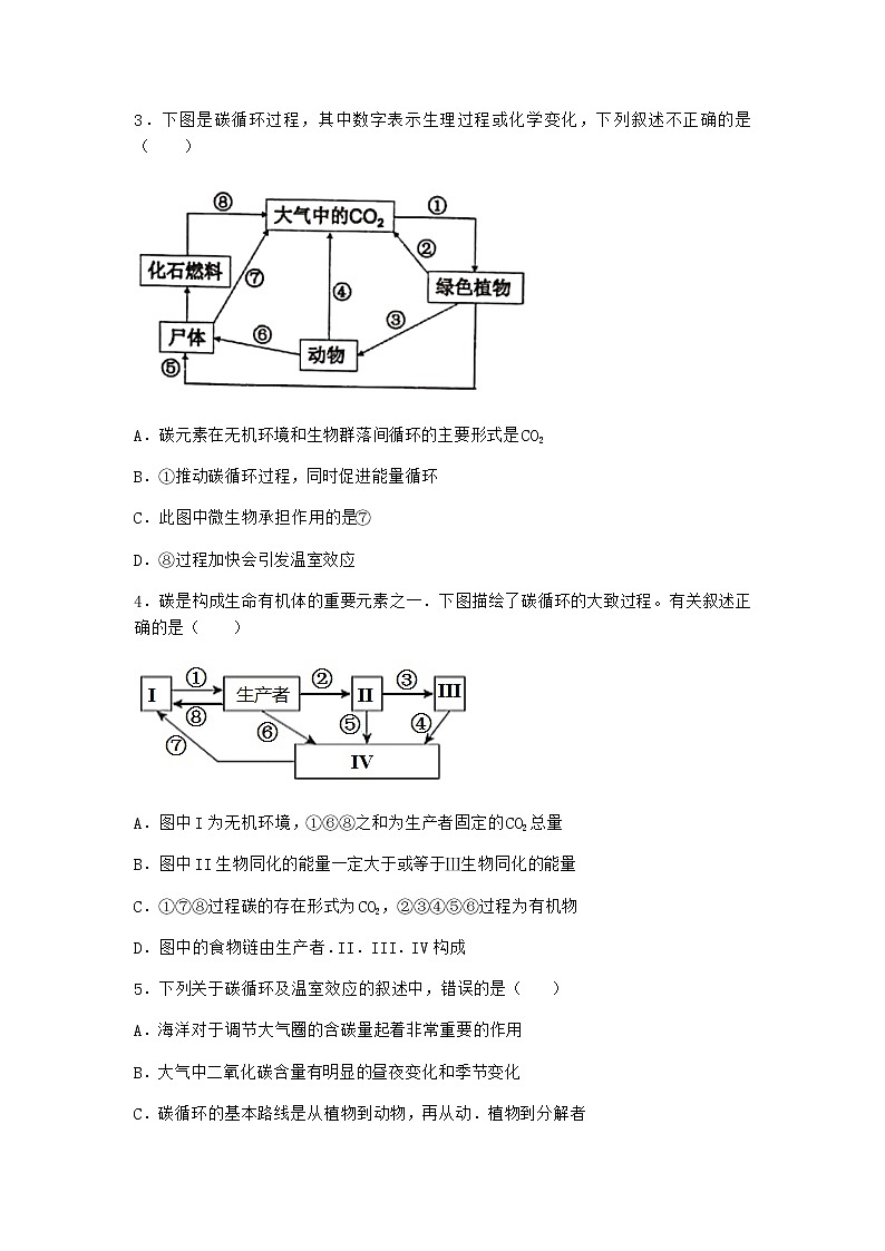 北师大版高中生物选择性必修2第三节生态系统的物质循环作业含答案6第2页