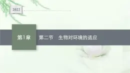 北师大版高中生物选择性必修二生物对环境的适应课件