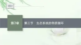 北师大版高中生物选择性必修二生态系统的物质循环课件