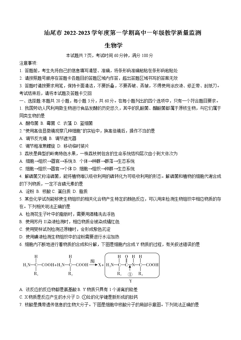 2023汕尾高一上学期期末考试(2月)生物含解析第1页