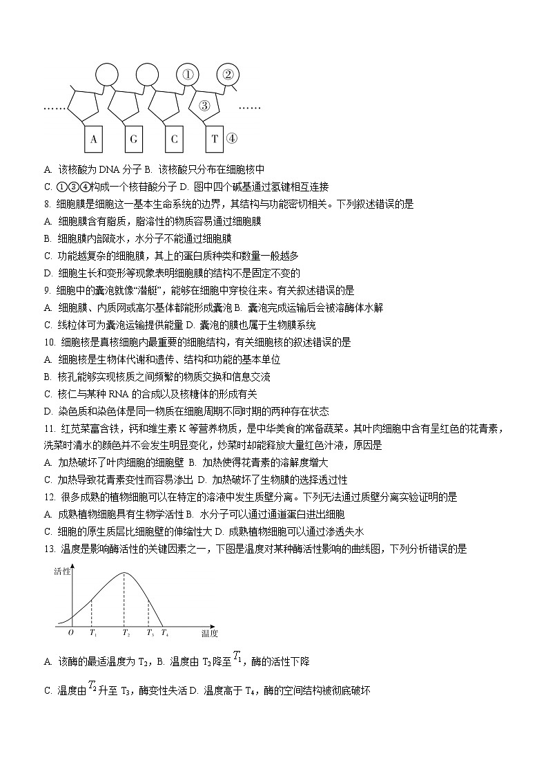 2023汕尾高一上学期期末考试(2月)生物含解析第2页
