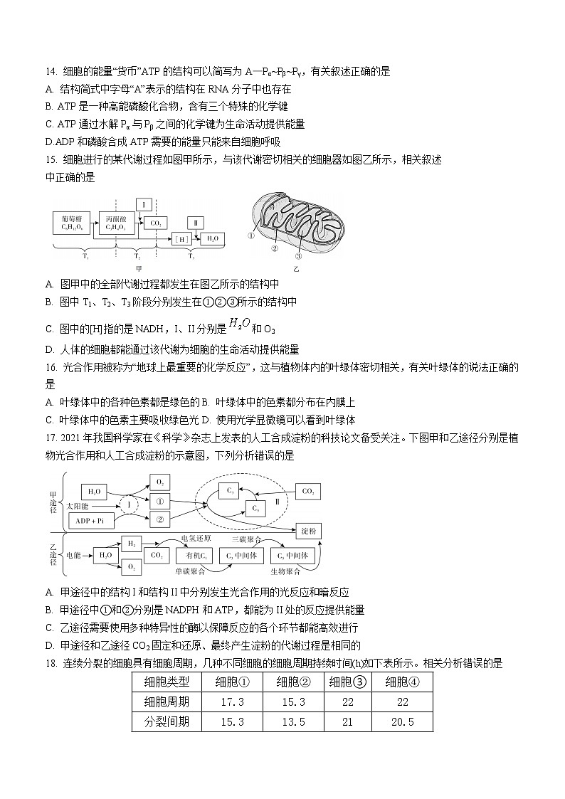 2023汕尾高一上学期期末考试(2月)生物含解析第3页