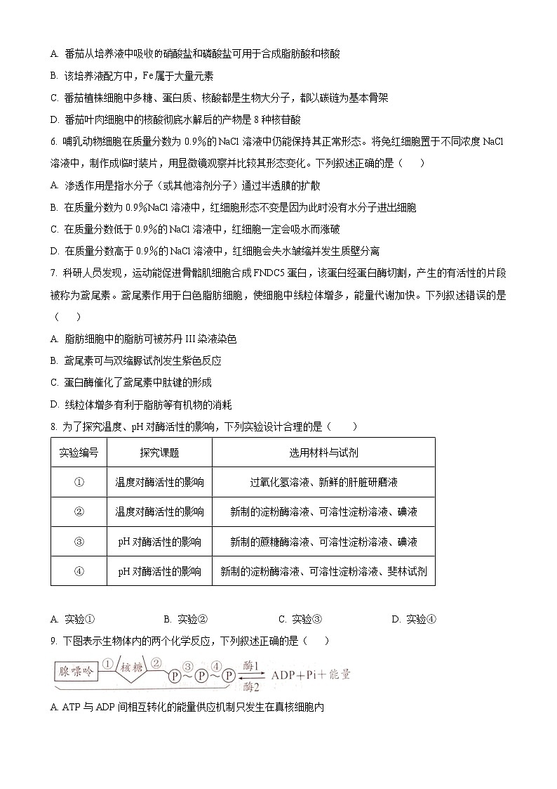 2023永州高一上学期期末生物试题含解析02