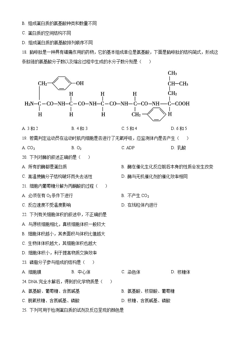 2023成都七中高一上学期期末模拟考试生物试题含解析03