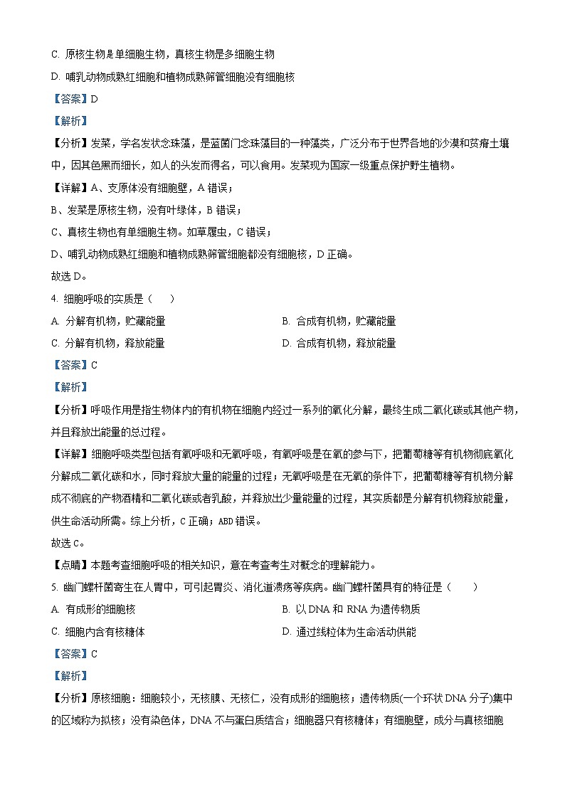 2023成都七中高一上学期期末模拟考试生物试题含解析02