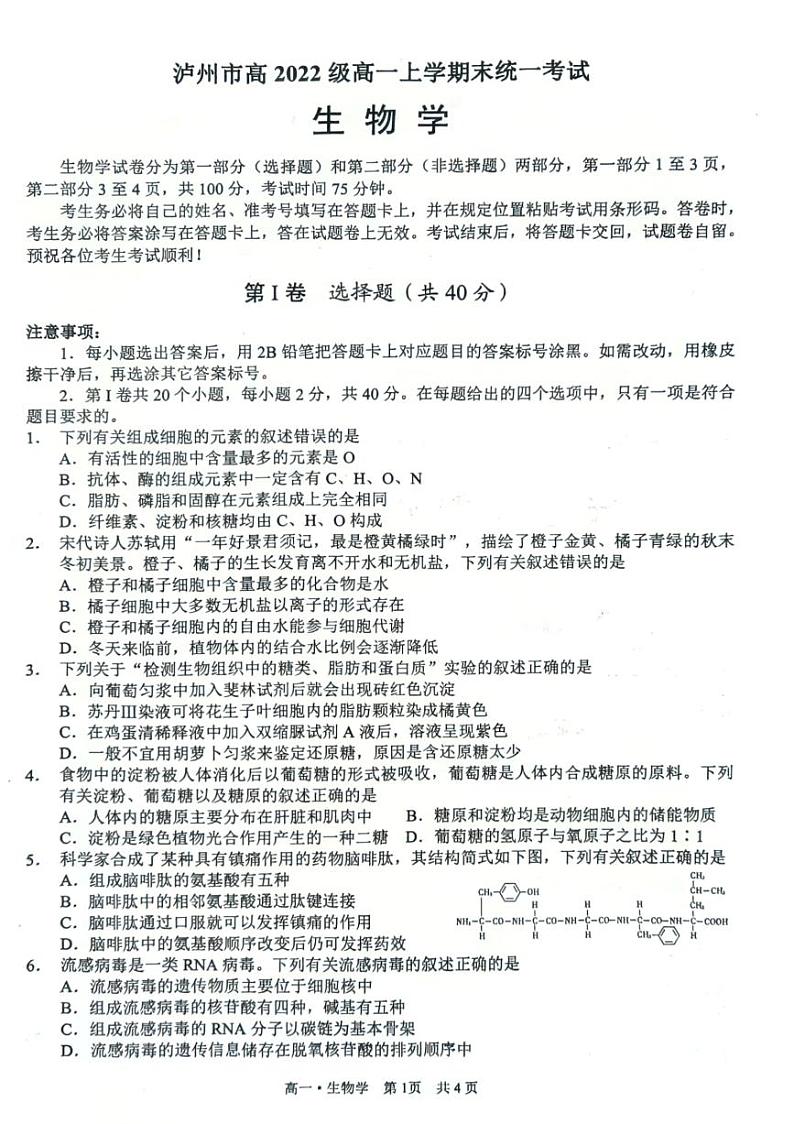 2023泸州高一上学期2月期末生物试题扫描版无答案第1页