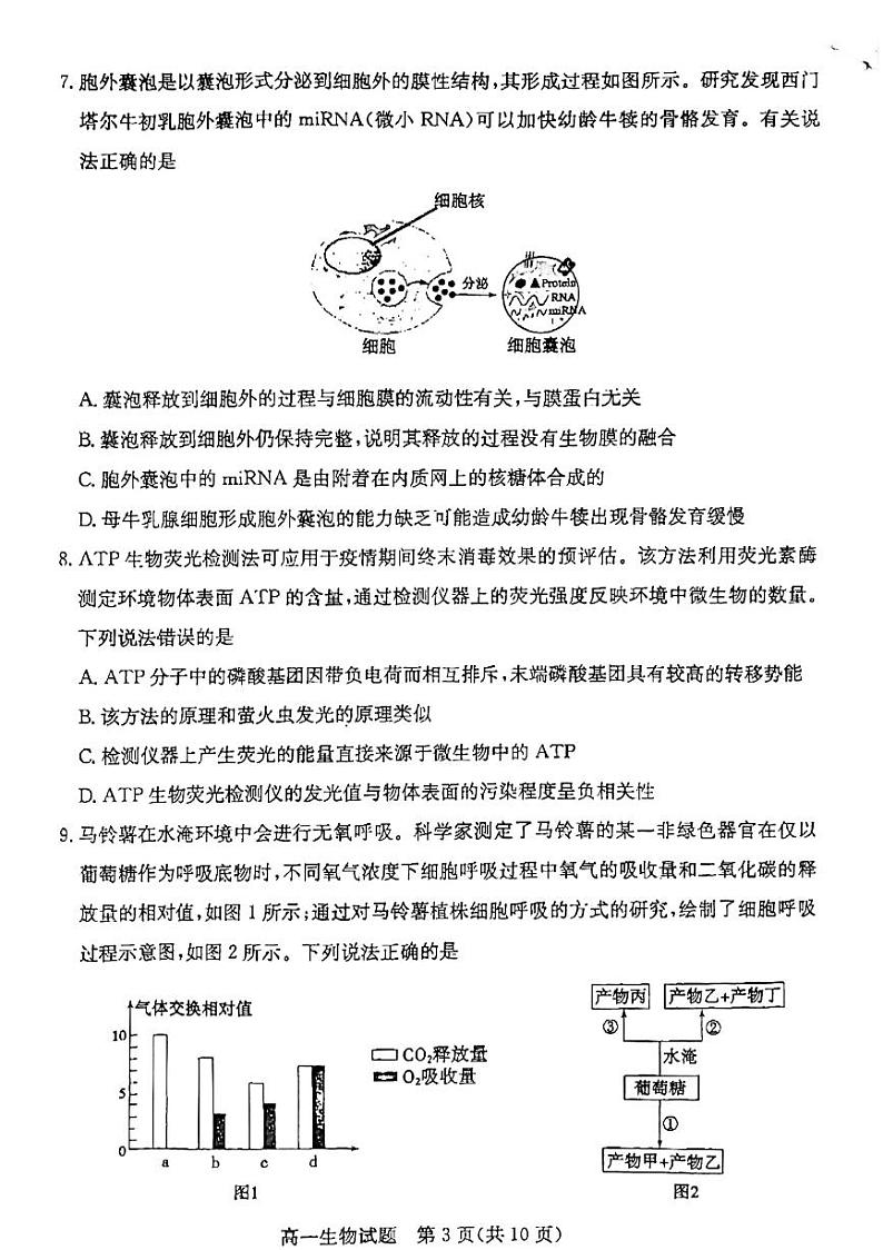 2023滨州高一上学期期末考试生物试题pdf版无答案03