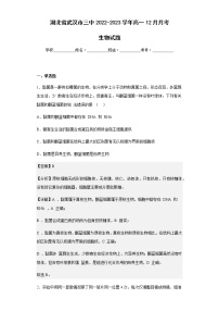 2022-2023学年湖北省武汉市三中高一12月月考生物试题含解析