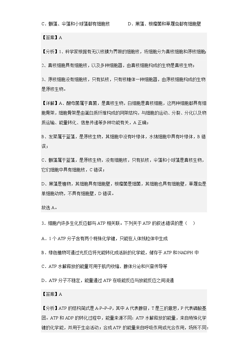 2022-2023学年山东省济南外国语学校高一12月月考生物试题含解析02