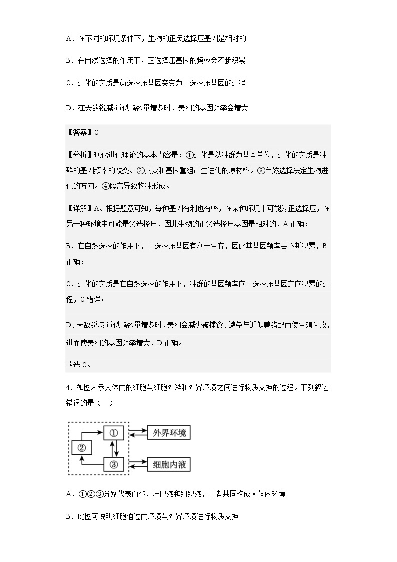2022-2023学年湖北省武汉市六中高二10月月考生物试题含解析03