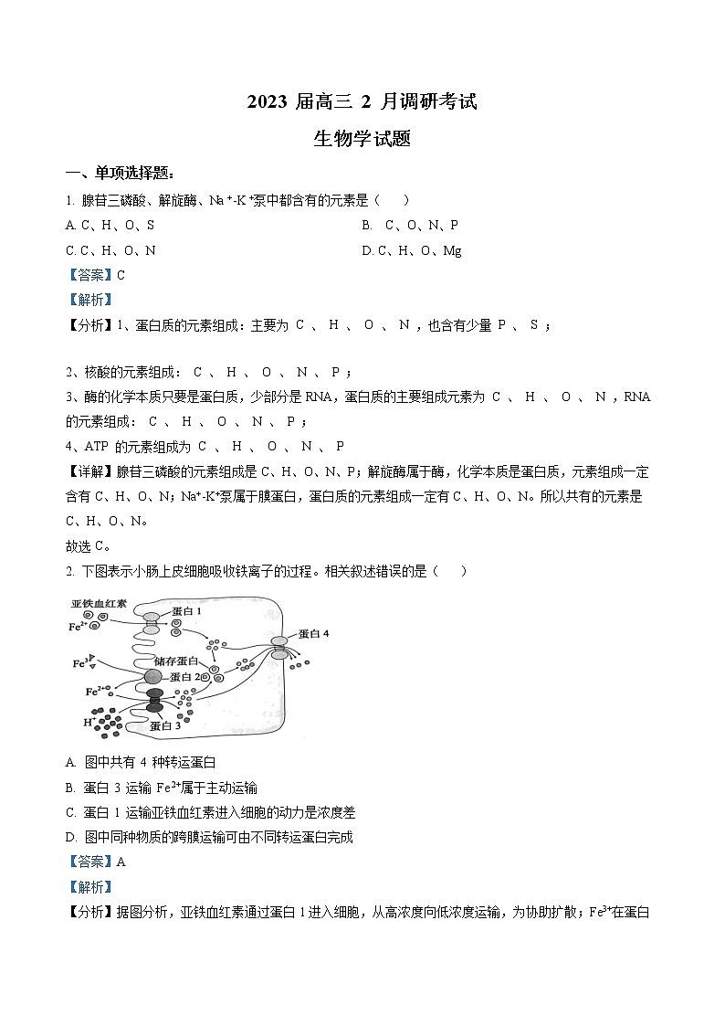 2023届江苏省连云港市高三2月调研考试生物试题(解析版)第1页