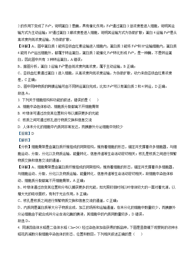 2023届江苏省连云港市高三2月调研考试生物试题(解析版)第2页