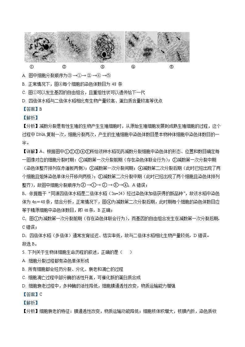 2023届江苏省连云港市高三2月调研考试生物试题(解析版)第3页