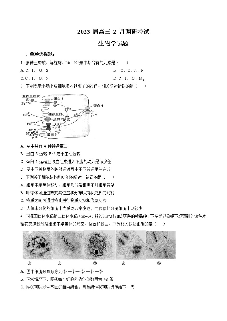 2023届江苏省连云港市高三2月调研考试生物试题(原卷版)第1页