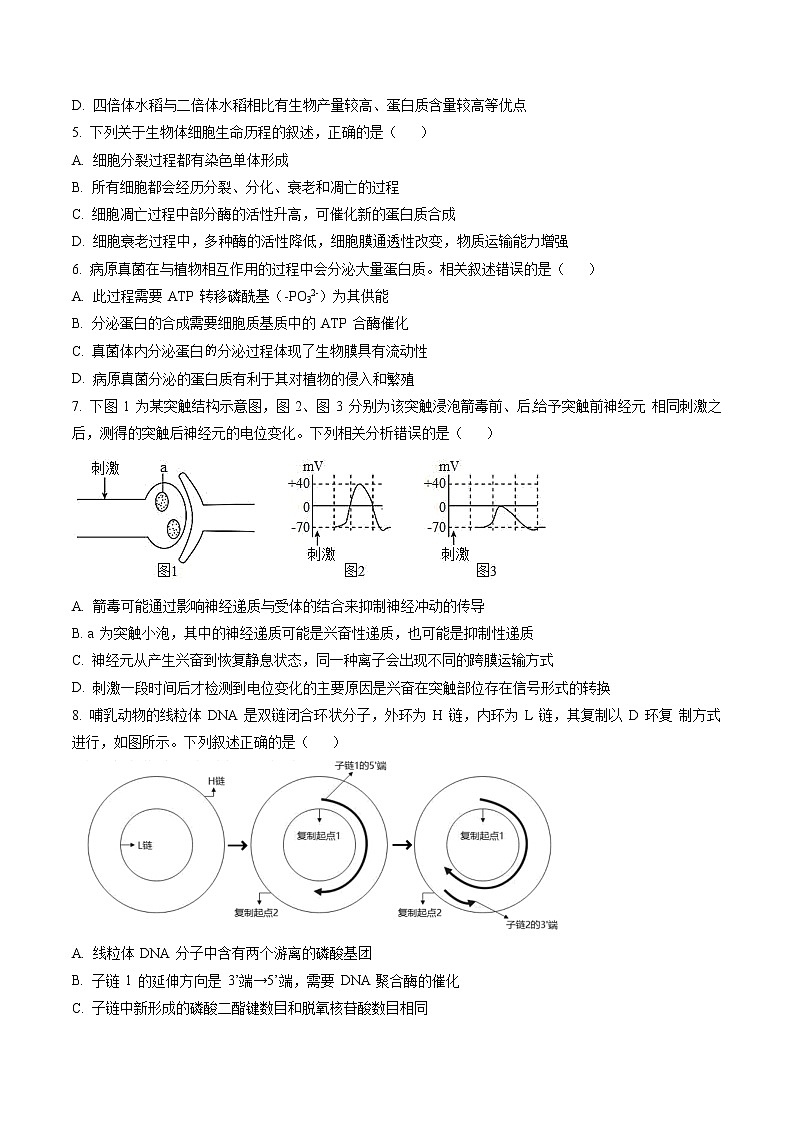 2023届江苏省连云港市高三2月调研考试生物试题(原卷版)第2页