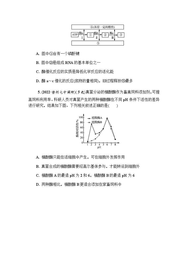 2023届高考生物二轮复习酶和ATP学案第3页