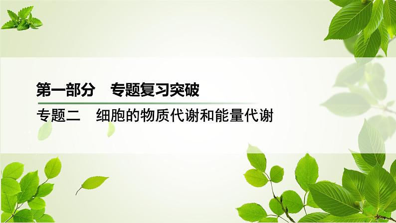 2023届高考生物二轮复习细胞呼吸和光合作用课件01
