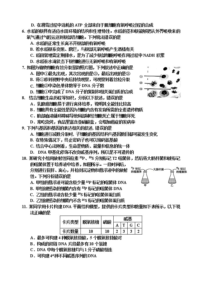 吉林省吉林市2022-2023学年高三下学期高考第二次调研测试 生物 Word版含答案02