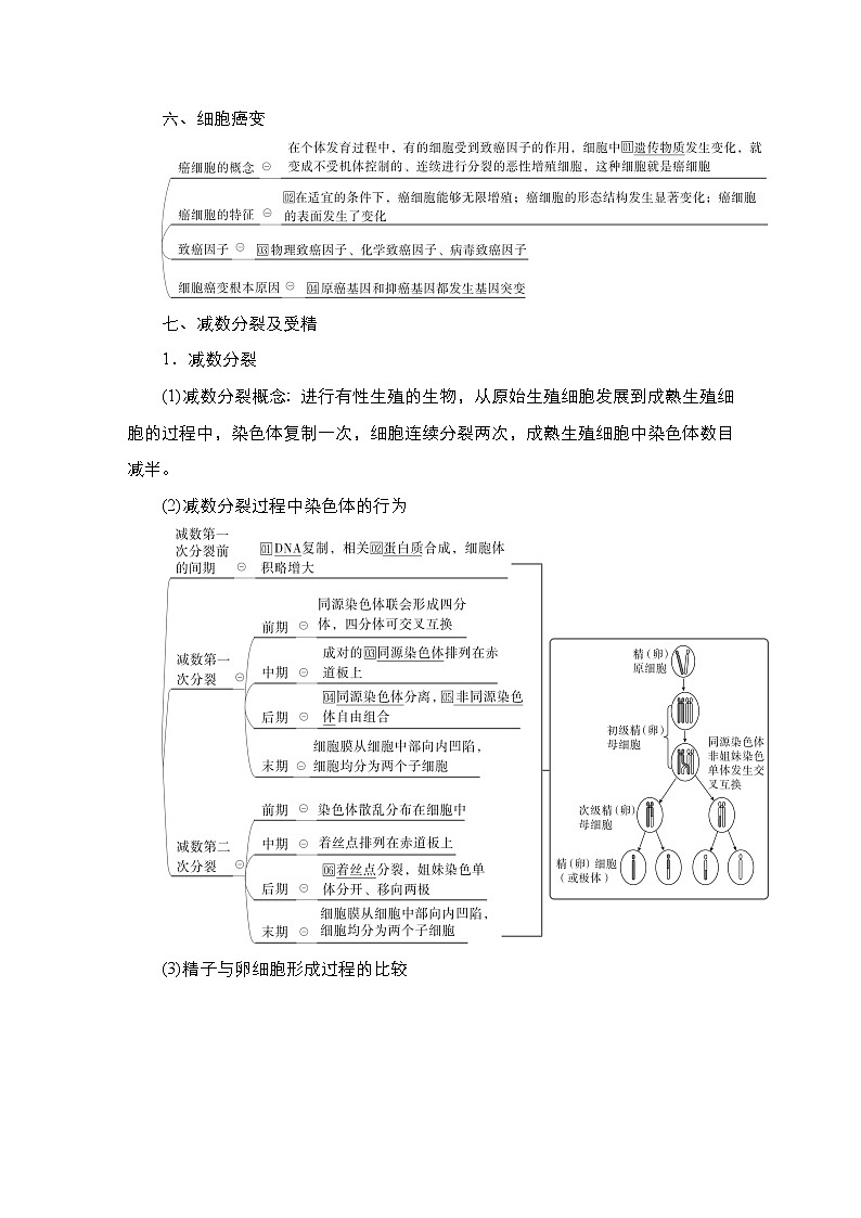 人教版高中生物选择性必修三回归教材细胞的生命历程学案03
