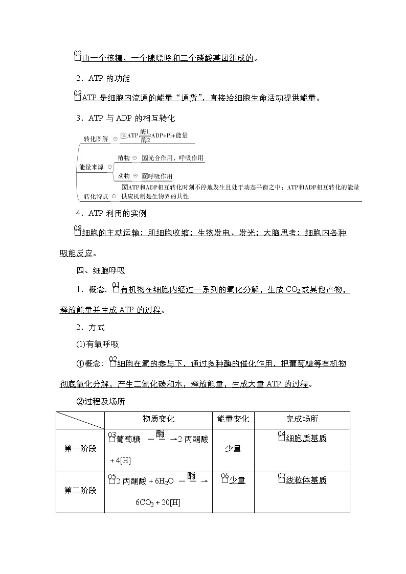 人教版高中生物选择性必修三回归教材细胞的代谢学案第3页