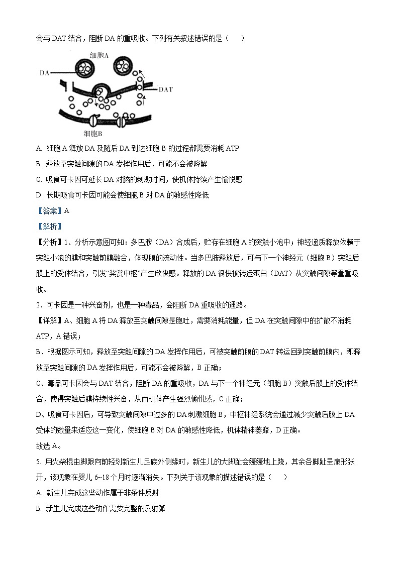 安徽省名校2022-2023学年高二下学期开学考试生物试题含解析第3页