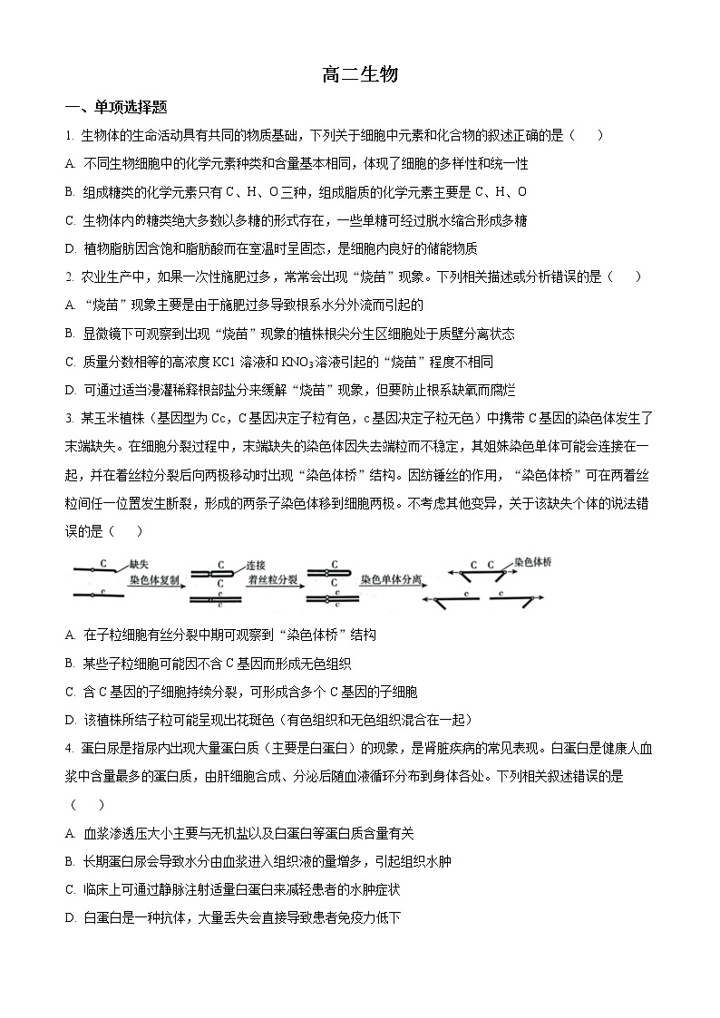 2023安庆宿松中学高二下学期开学考试生物含答案01