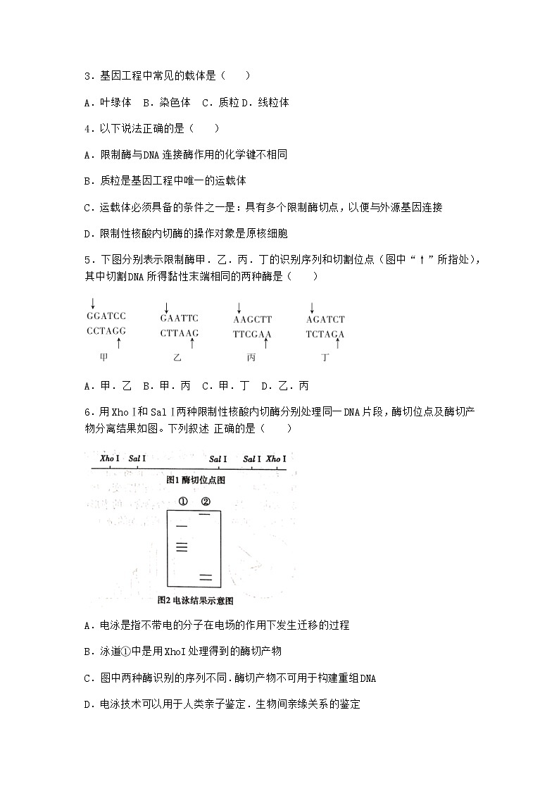 北师大版高中生物选择性必修3第一节基因工程的原理课时作业含答案102