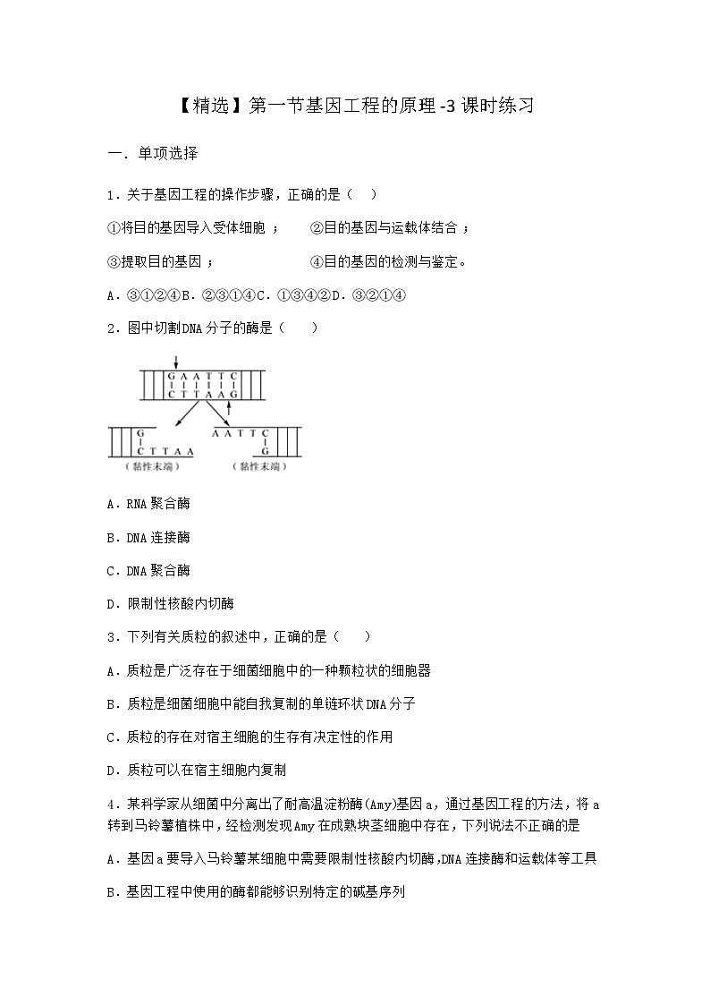 北师大版高中生物选择性必修3第一节基因工程的原理课时作业含答案301