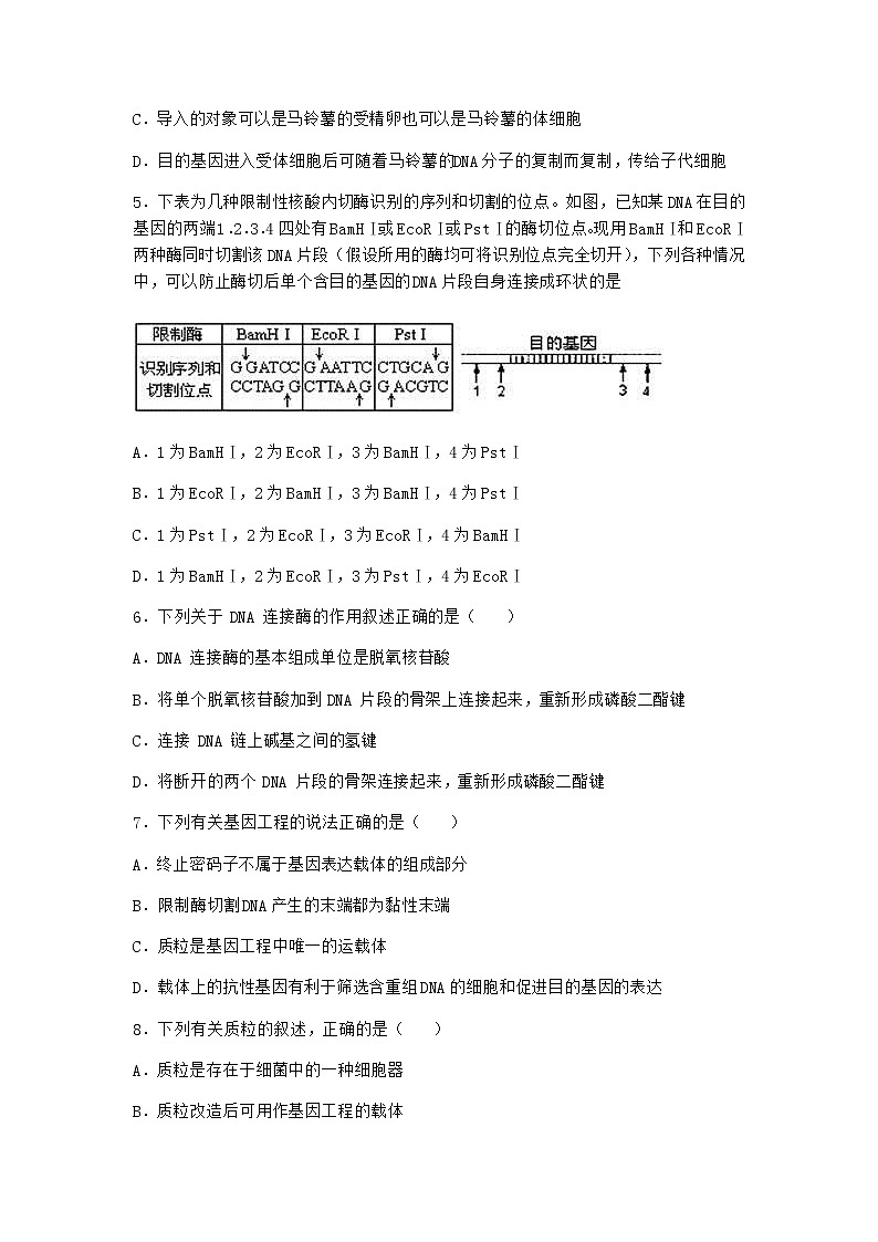 北师大版高中生物选择性必修3第一节基因工程的原理课时作业含答案302