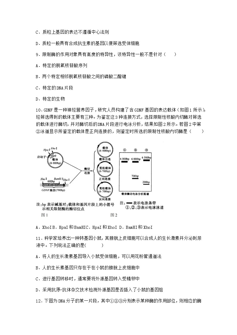 北师大版高中生物选择性必修3第一节基因工程的原理课时作业含答案303