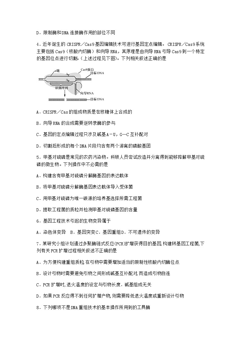 北师大版高中生物选择性必修3第二节基因工程的基本工具课时作业含答案202