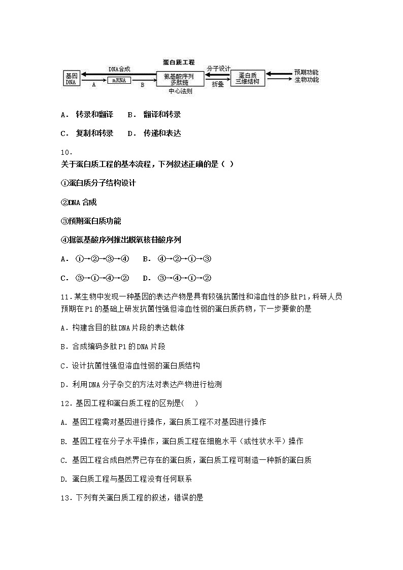 北师大版高中生物选择性必修3第五节蛋白质工程课时作业含答案103