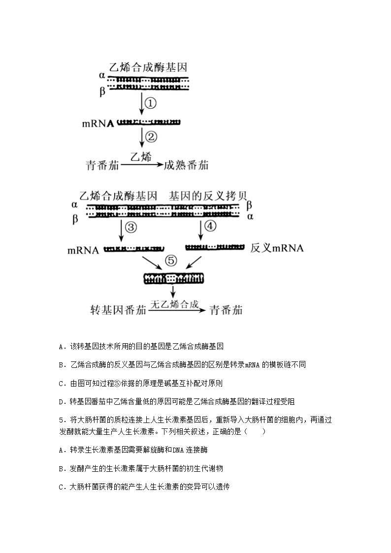 北师大版高中生物选择性必修3第四节基因工程的应用课时作业含答案102