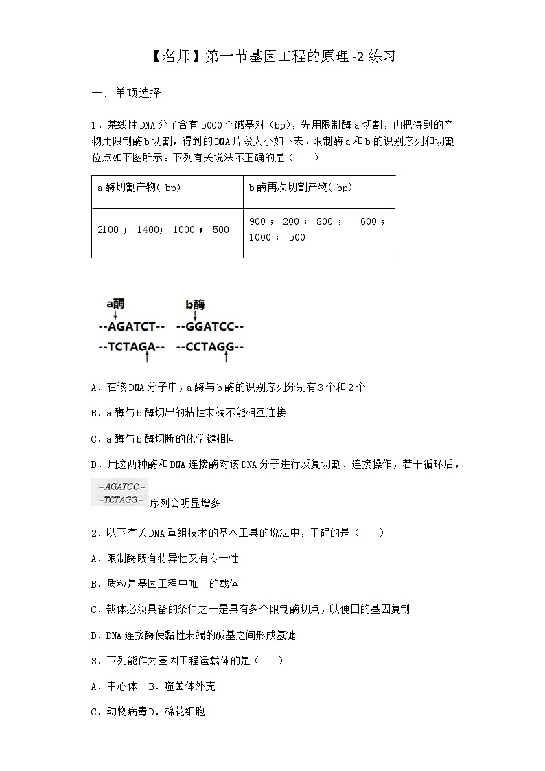 北师大版高中生物选择性必修3第一节基因工程的原理作业含答案4第1页