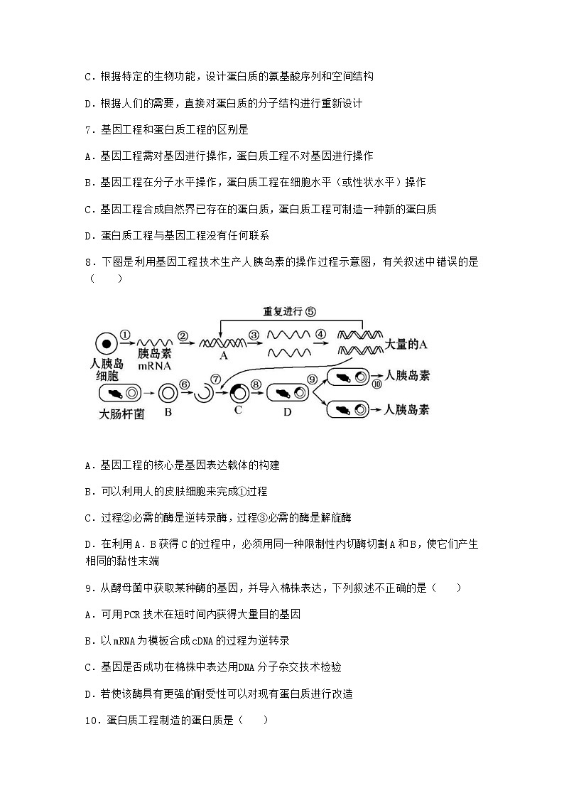 北师大版高中生物选择性必修3第五节蛋白质工程作业含答案2第2页